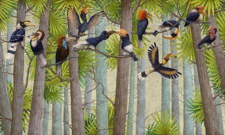 Fototapeta Wonderwall - Hornbill 35 0841 05