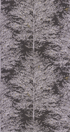 Tapeta Caselio La Foret - Tree Of Life 102979037
