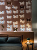 Fototapeta Wall & Deco - X-Ray WDXR1801