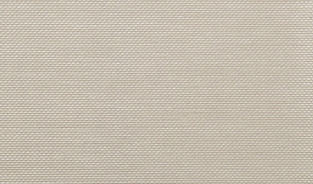 Tapeta Vinylpex - Ralph U47.411