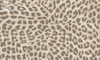 Tapeta Arte Essentials | Travellers - Pelage 11100