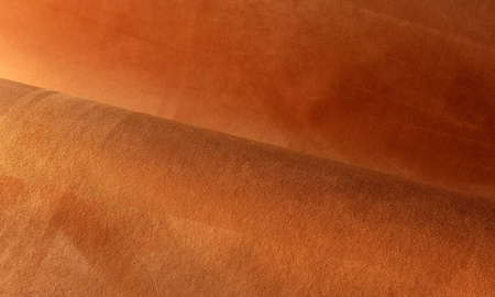 Tapeta Arte Wildwalk - Noble 28510
