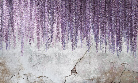 Fototapeta Wonderwall - Wisteria 35 0745 07
