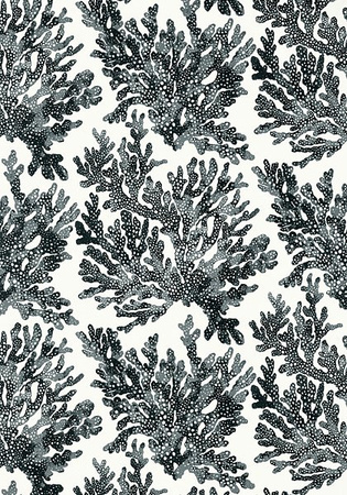 Tapeta Thibaut Tropics - T10123