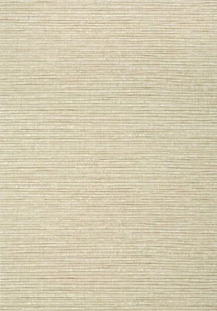 Tapeta Thibaut Texture Resource 6 - T348