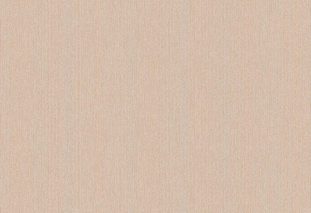 Tapeta Hooked on Walls Nomadia - 38551