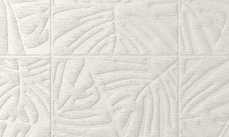 Tapeta Arte Yala - Monstera 43024