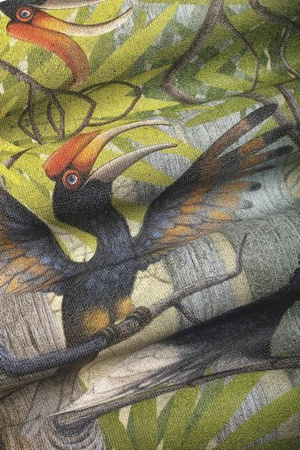 Fototapeta Wonderwall - Hornbill 35 0841 05