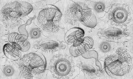 Fototapeta One Wall Design - GATTINI MIL 201103-1
