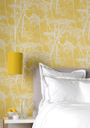 Tapeta Cole&Son The Contemporary Collection - Cow Parsley 66/7051