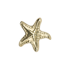 Uchwyt Pap Deco Seastar 2