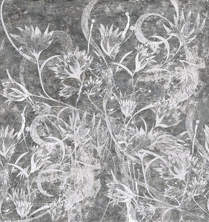 Fototapeta Wall & Deco - Dittamo WDDI1801