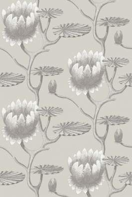 Tapeta Cole&Son The Contemporary Collection - Summer Lily 95/4025