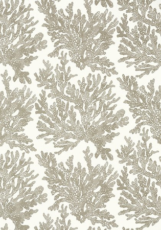Tapeta Thibaut Tropics - T10140