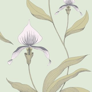 Tapeta Cole&Son New Contemporary - Orchid 66/4028