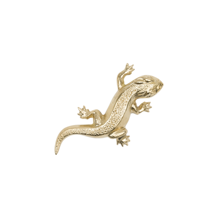 Uchwyt Pap Deco Lizard