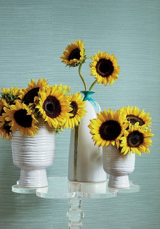 Tapeta Thibaut Texture Resource 6 - T289