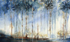 Fototapeta Wonderwall - Karelia 35 0455 06