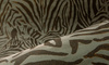 Tapeta Arte Wildwalk - Grant 28000