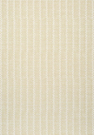 Tapeta Thibaut Modern Resource - T469