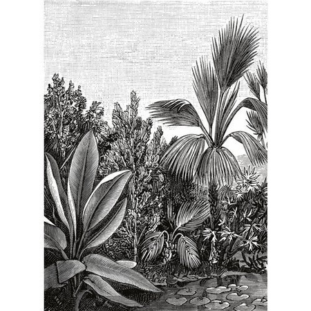 Panel Caselio Beauty Full Image - 102059018