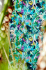 Tapeta Harlequin Colour - Dance Of Adornment 112763