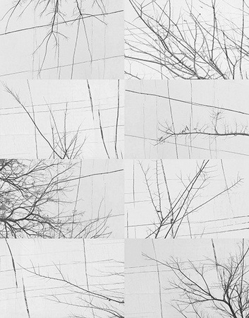 Fototapeta Wall & Deco - Bois D'Hiver WDBH1701