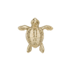 Uchwyt Pap Deco Turtle