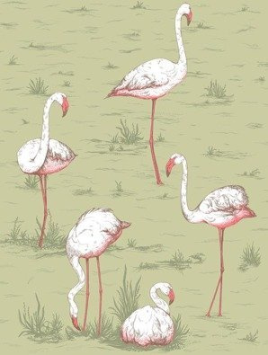Tapeta Cole&Son Icons - Flamingos 112/11038