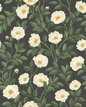 Tapeta Cole&Son Historic Royal Palaces – Great Masters - Hampton Roses 118/7016