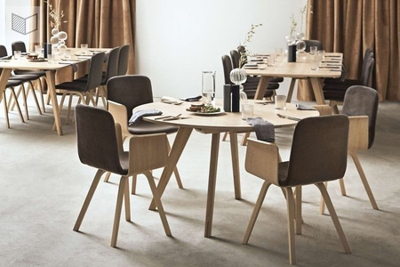Krzesło Bolia Palm veneer dining chair - dąb czarny