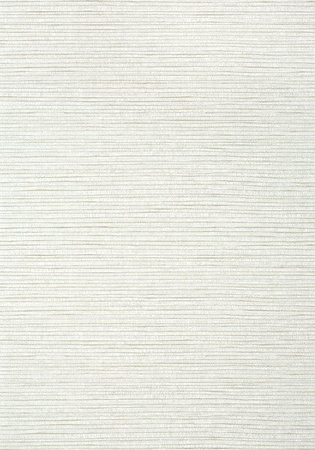 Tapeta Thibaut Texture Resource 6 - T347