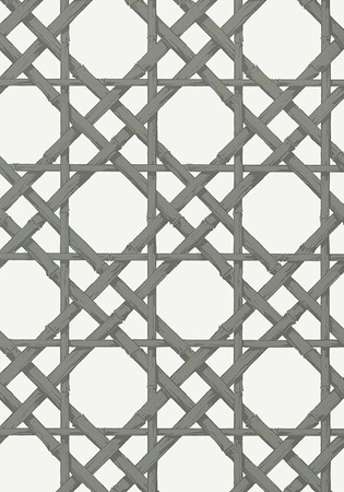 Tapeta Thibaut Summer House - T13141