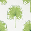 Tapeta Sanderson Glasshouse - Fan Palm 216636