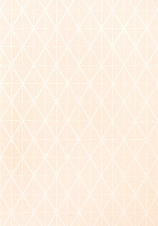 Tapeta Thibaut Modern Resource - T444