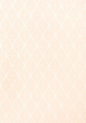 Tapeta Thibaut Modern Resource - T444