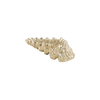 Uchwyt Pap Deco Shell 2