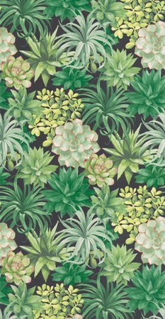 Tapeta Casadeco Botanica - Echeveria 85917396