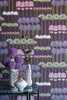 Tapeta Cole&Son Botanical Botanica - Allium 115/12035