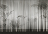 Fototapeta Wall & Deco - Eliksir WDEL1802