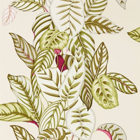 Tapeta Sanderson Glasshouse - Calathea 216631