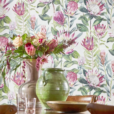 Tapeta Sanderson Glasshouse - King Protea 216647