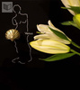 Uchwyt Pap Deco Venus S