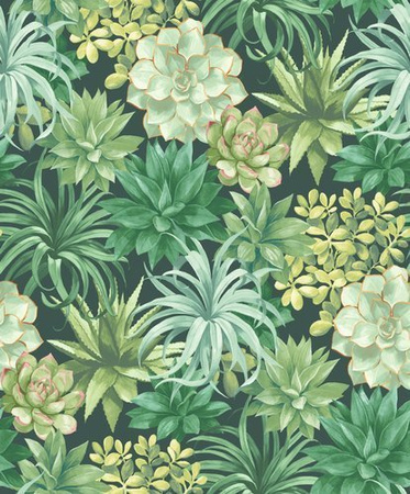 Tapeta Casadeco Botanica - Echeveria 85917396
