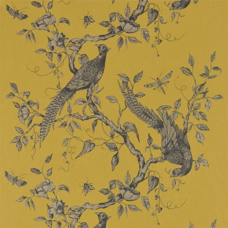 Tapeta Zoffany Darnley - Darnley 312884