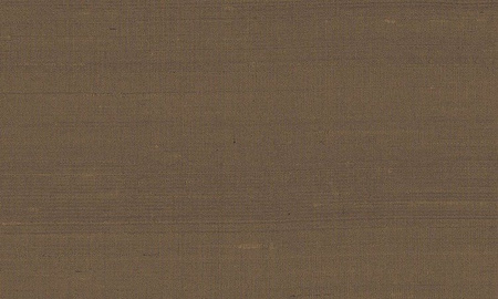 Tapeta Arte Paleo - Latus 50508