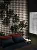 Fototapeta Wall & Deco - Akos WDAK1802