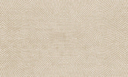 Tapeta Arte Paleo - Strata 50571