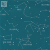 Tapeta Caselio Our Planet - OUP101916003