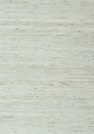 Tapeta Thibaut Greenwood - T85003